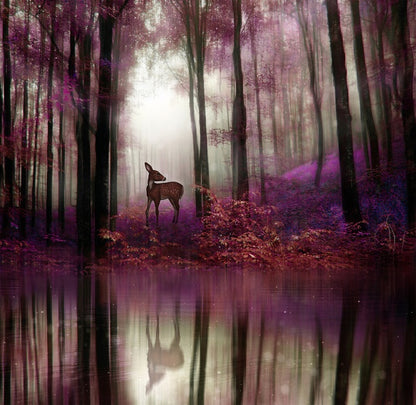 Fawn in the forest