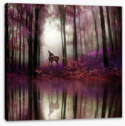 Fawn in the forest