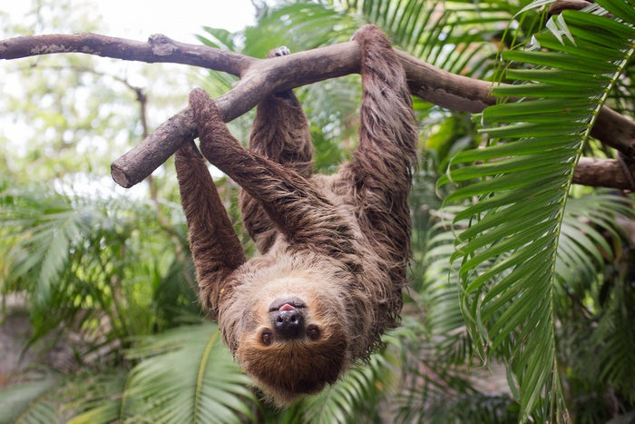 Hang tight