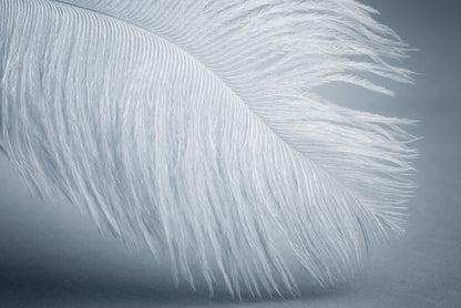 Feather soft