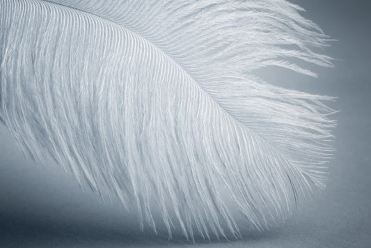 Feather soft
