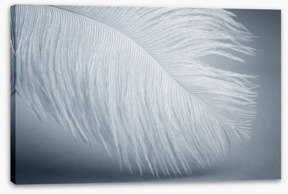 Feather soft