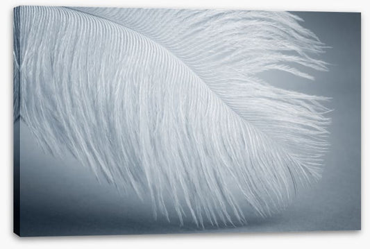 Feather soft