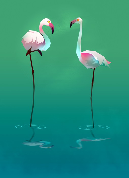 Flamingo balance