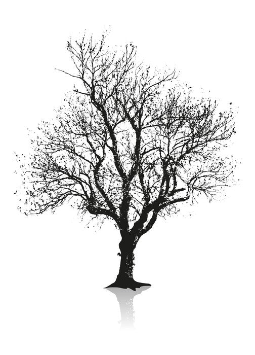 Solitude