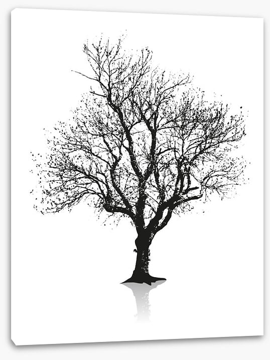 Solitude