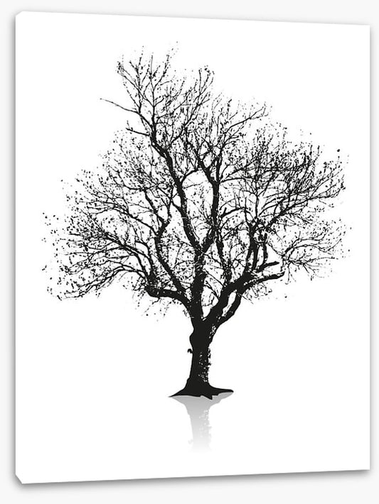 Solitude