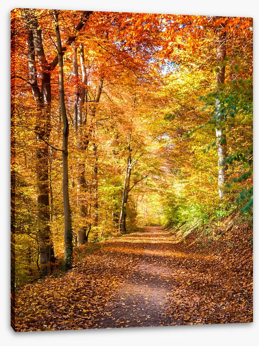 Fall light falling