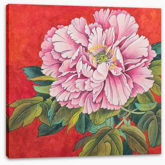 Peony on red