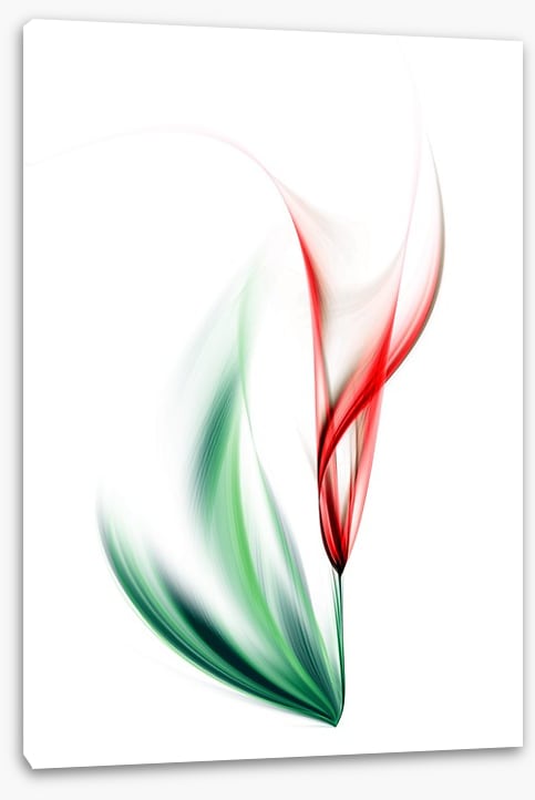 One red tulip