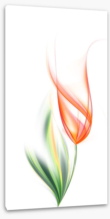One orange tulip