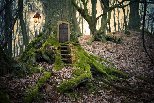 The fairy forest