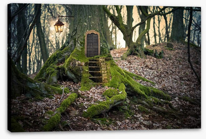 The fairy forest