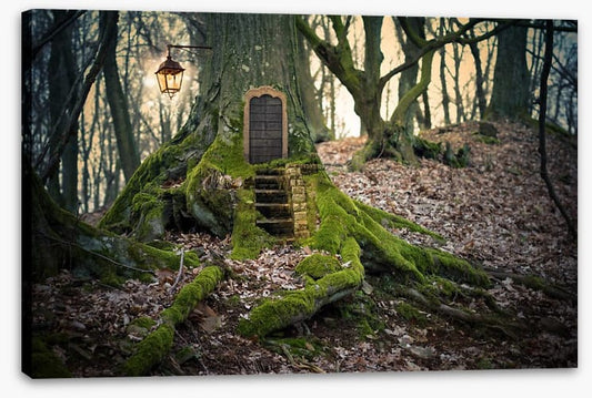 The fairy forest
