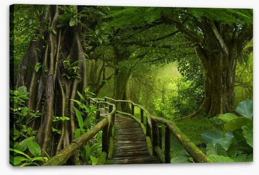 Through the jungle