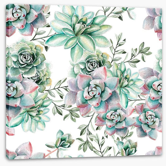 Succulent spring