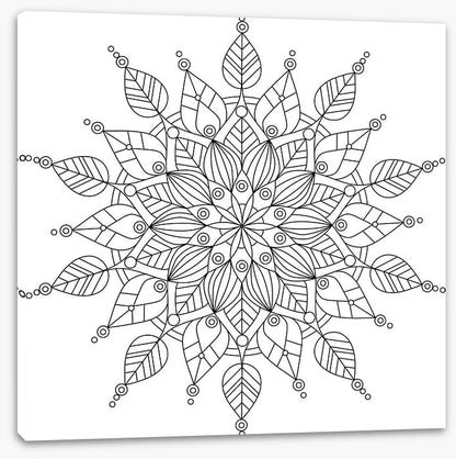 Colour me snowflake