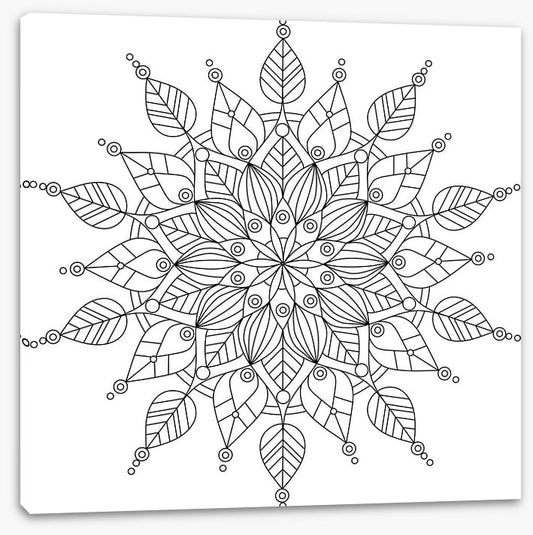 Colour me snowflake