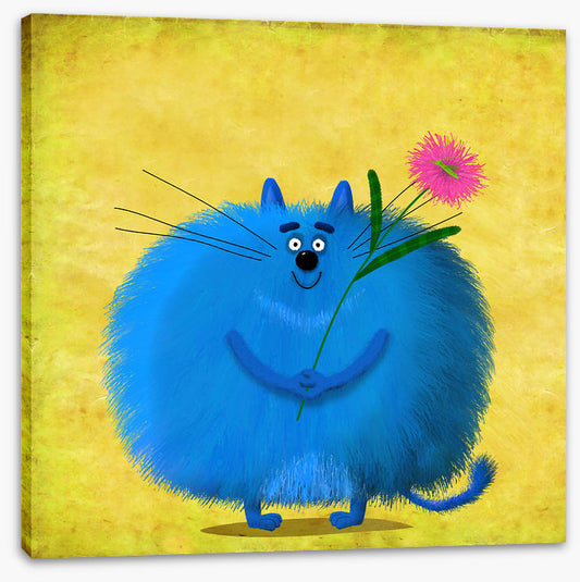Fat blue cat