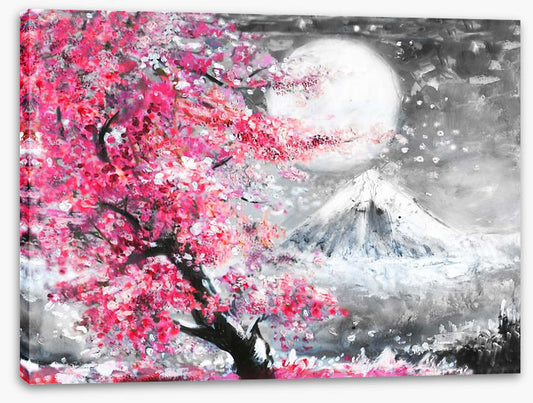 Sakura evening