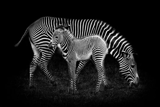 Earning your stripes