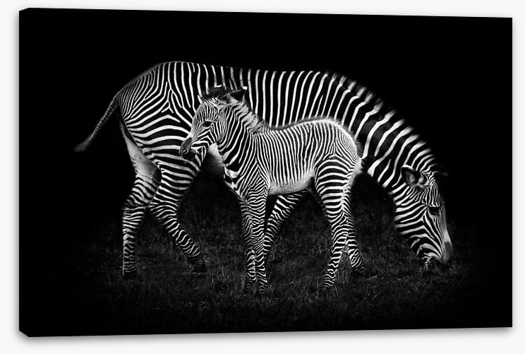 Earning your stripes
