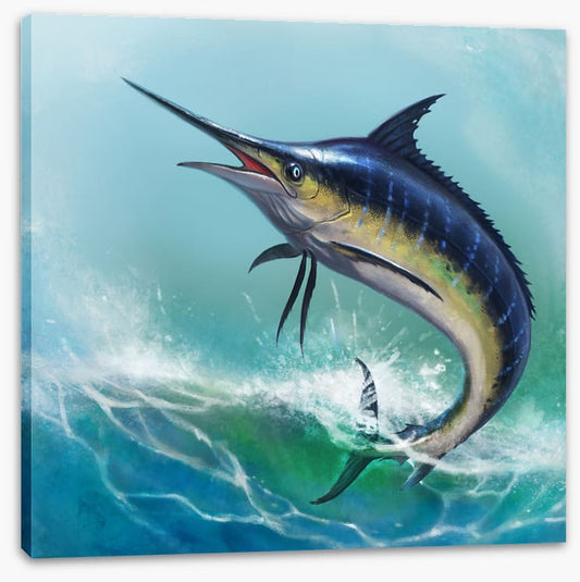 Blue marlin jump