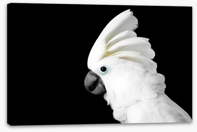 The Godfeather