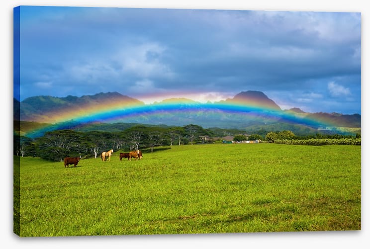 Rainbows