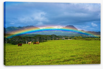 Rainbows
