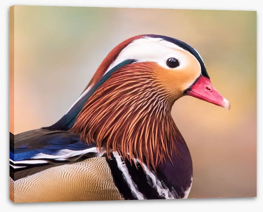 Duck face