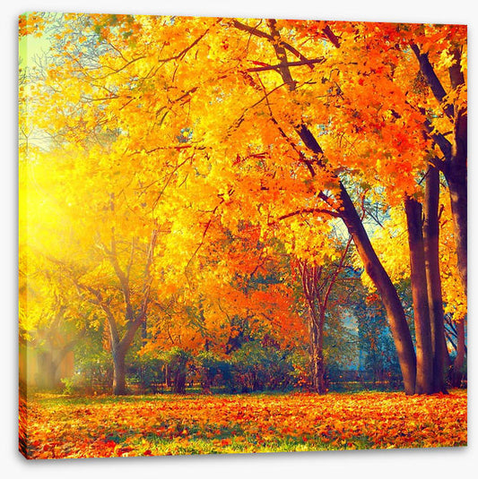 Those autumn days