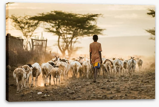 Hometime herd