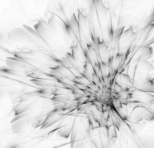 Monochrome bloom