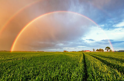 Rainbows