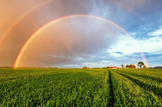 Rainbows