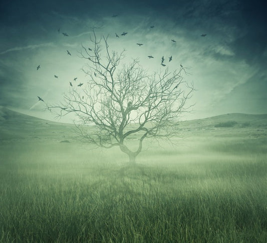 Alone with the birds