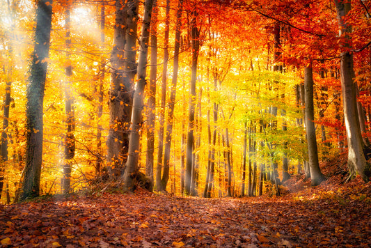 Seasonal gold
