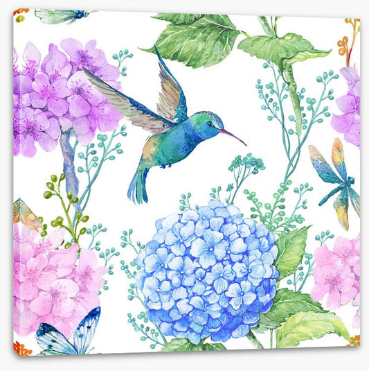 Hummingbird hydrangeas