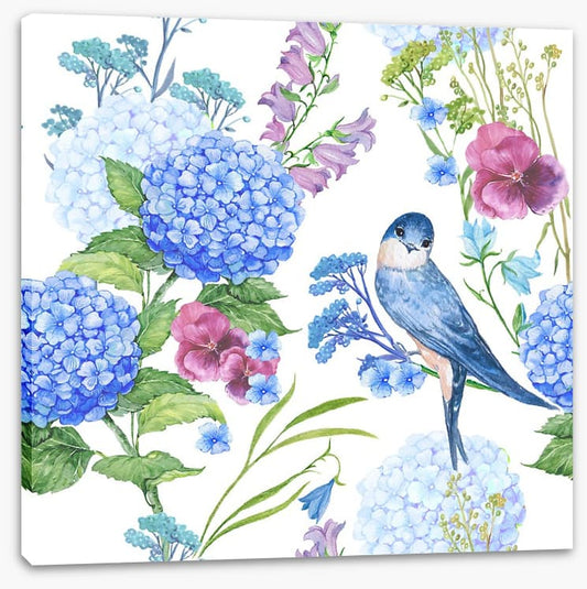 Blue bird hydrangeas