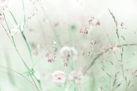 As sweet as spring