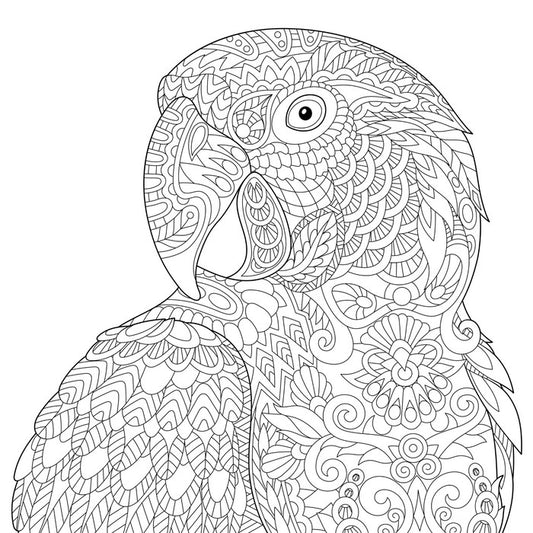 Colour me macaw