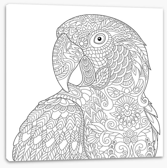 Colour me macaw