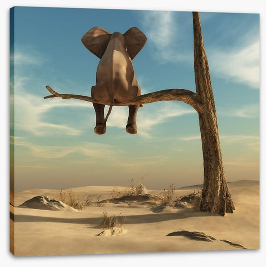 Waiting in the desert