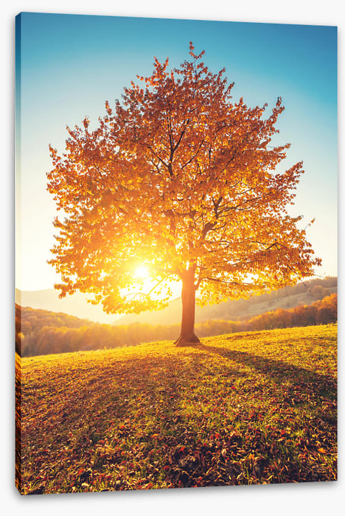 Autumn