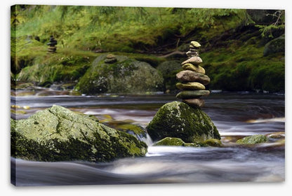 Natural balance