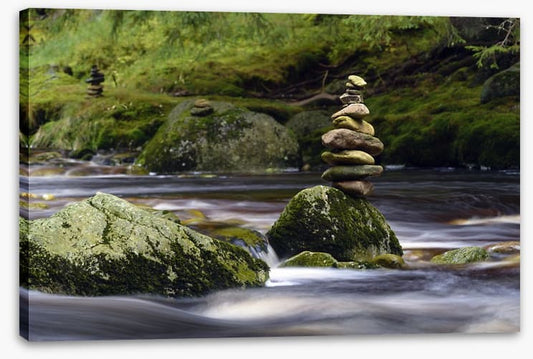 Natural balance