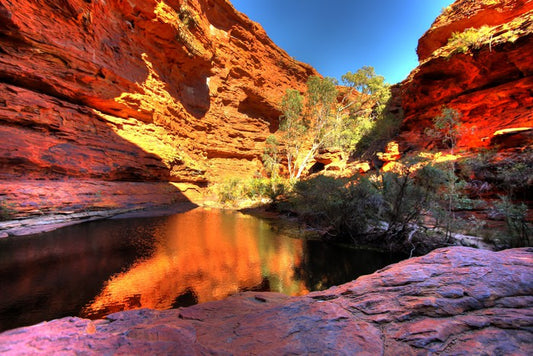 Kings Canyon wilderness