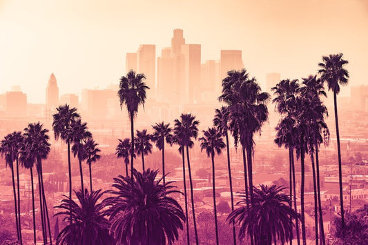 La La land