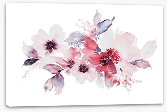 Soft bloom